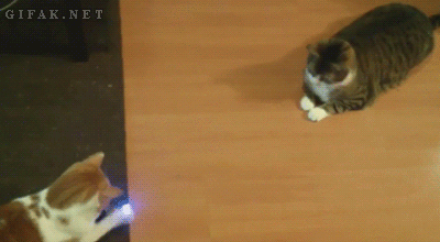 tumblr_oihkhzYDGY1urlrpuo1_400.gif
