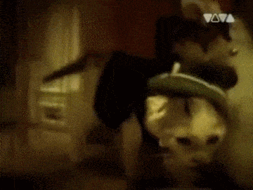 giphy.gif
