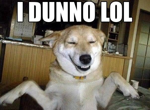 stoner-dogs-photo-gallery-dunno-lol.jpg