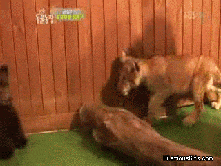 JRWRo.gif