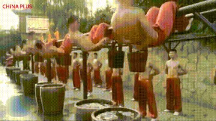 giphy.gif