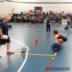 tumblr_n3x98gQqgO1r3gb3zo5_250.gif