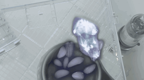 tumblr_o2qy5vybst1s02vreo3_500.gif