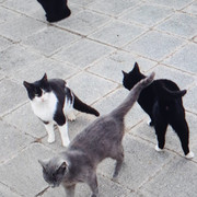 IMG-20231210-WA0018.jpg