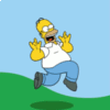 Nimg8.gif