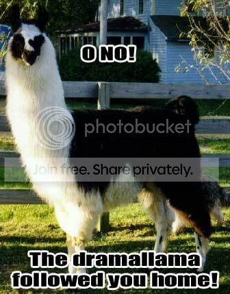 dramaLAMA.jpg