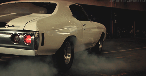 tumblr_nfiinyDwL21sd35juo1_500.gif