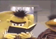 156394_berttt.gif