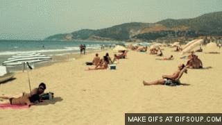 giphy.gif