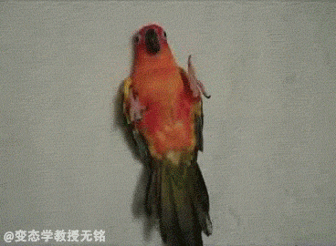 LA1s.gif
