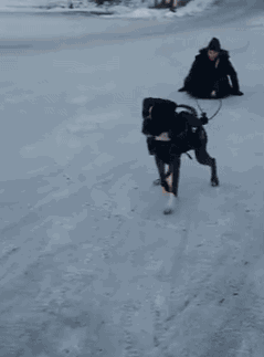 tumblr_o2jyipbhc01uluepno1_250.gif