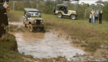 giphy.gif