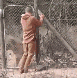 tumblr_nrze9qGFVj1s2yegdo1_400.gif