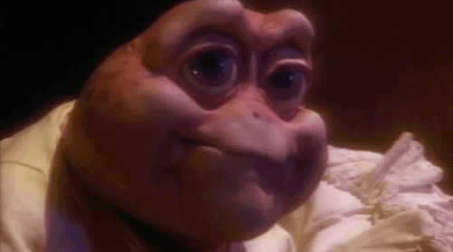 tumblr_mpciolFiKh1rg0l9vo1_500.gif