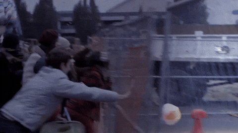 giphy.gif