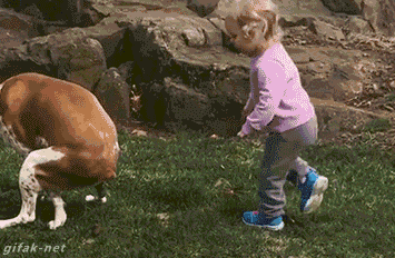 giphy.gif