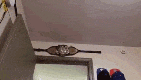 tumblr_nd1fveGWxV1qasjkvo1_500.gif