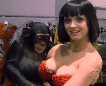 tumblr_n25tgjGmAG1ra9e4oo2_400.gif