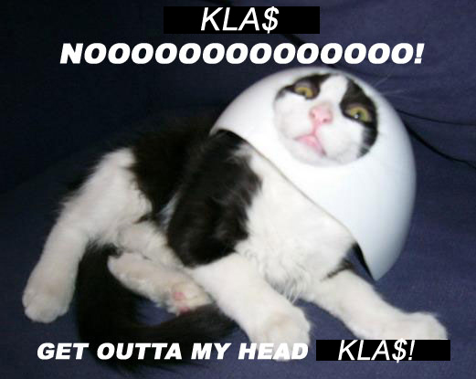 bkboc3s62zir9f8gz.jpg