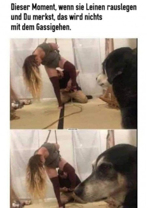 nzwbQBw.jpg