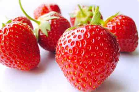 erdbeeren1.jpg