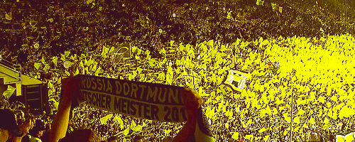 tumblr_n44ukf35fN1s93wzvo1_500.gif