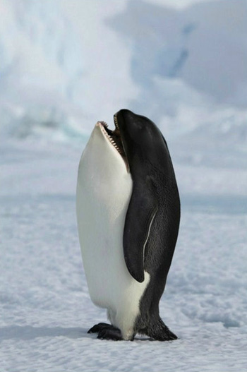 cmnegnp4n1zpjgdj3.jpg