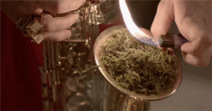 giphy.gif