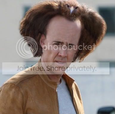 my-hair-is-a-bird-argument-inval-1.jpg