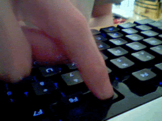 T6qQ.gif