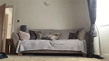 tumblr_nr289gGeNB1rc7zl1o4_400.gif