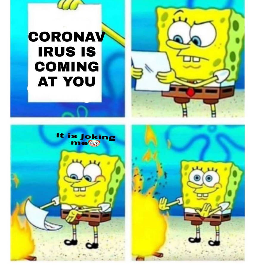 ol4pu.jpg