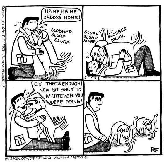 dog-9-buttlick.jpg