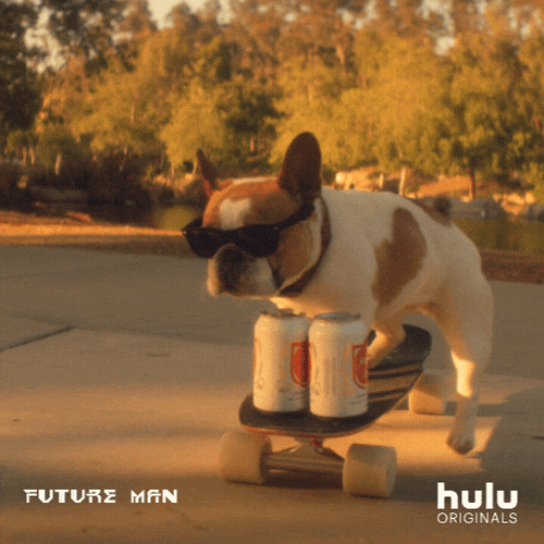 giphy.gif