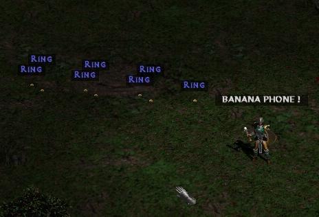 bb1coyok24f59jsgo.jpg