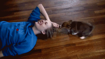 giphy.gif