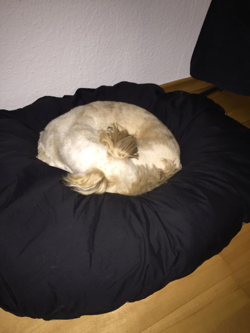 dckaa3uzj0rsuyj4e.jpg