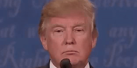 landscape-1479745360-trump-gif.gif