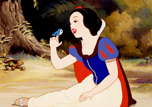 tumblr_mkojjgciRs1rh58ldo1_500.gif