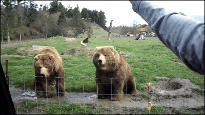 tumblr_nuni4rPDZx1s02vreo1_400.gif