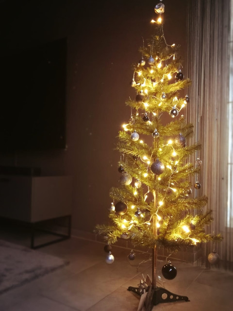 Baum.jpg