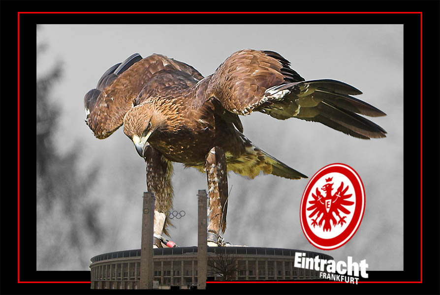 ADLER%20Berlin.jpg