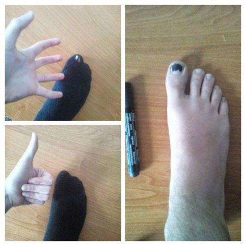 tumblr_inline_o3hyssIggB1rbz39m_500.jpg