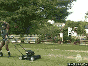 139185bf.gif