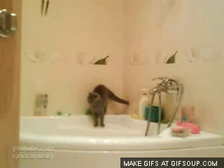jYJikdU.gif
