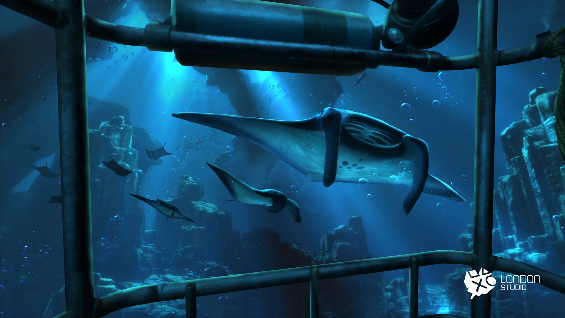 thedeepmantaray011425403555jpg0x0q85.jpg
