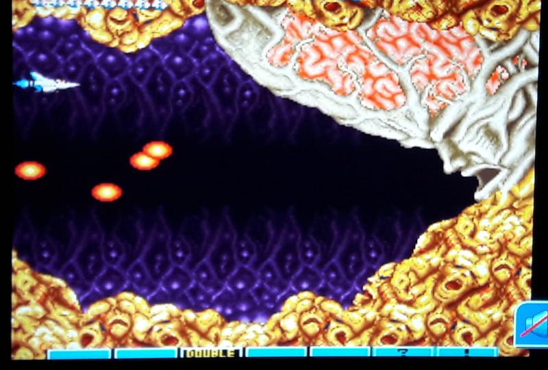 30533156gx.jpg
