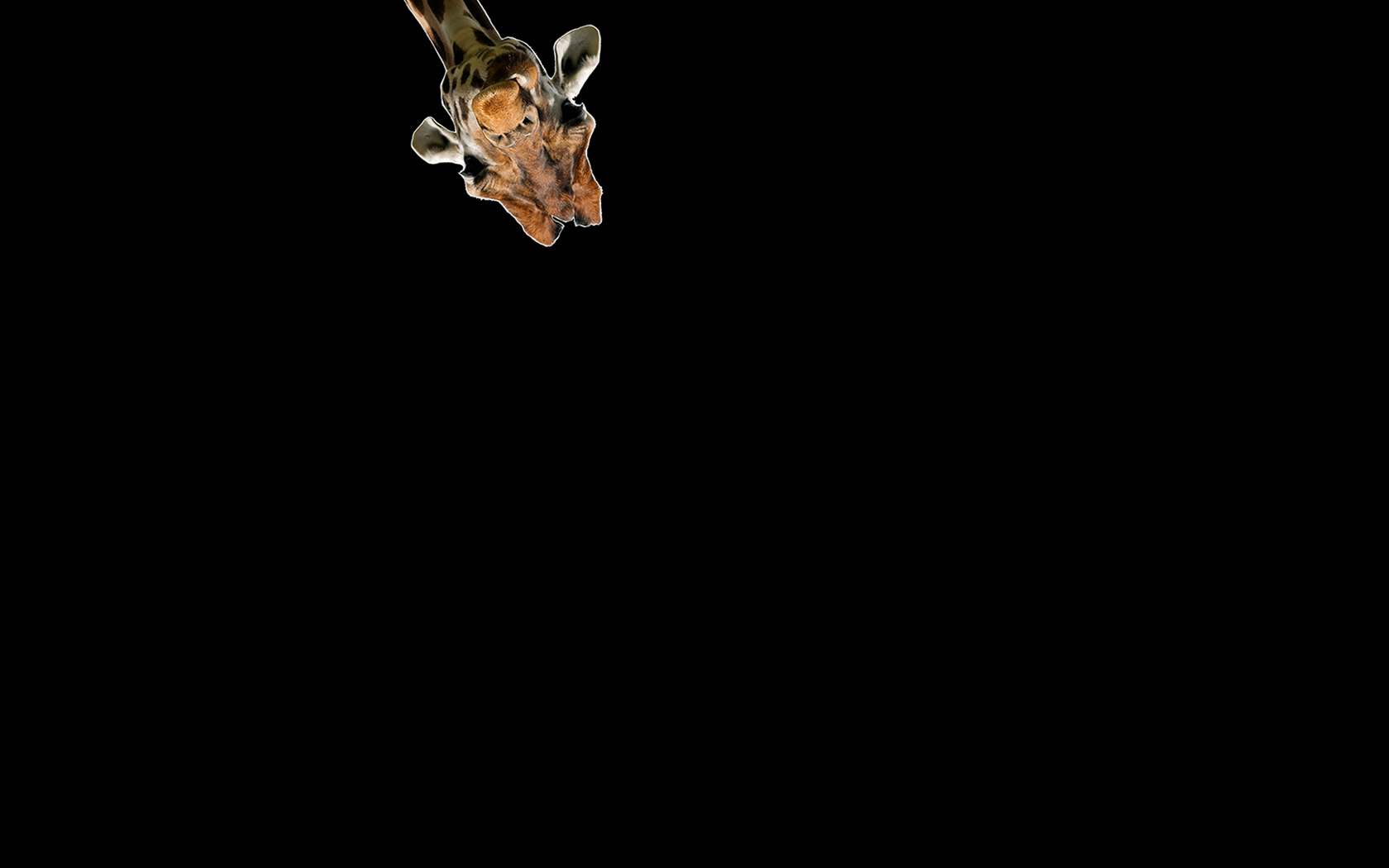 DJw9j.jpg