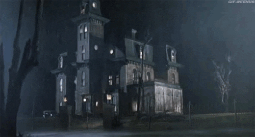 W5rXveDngb0D6.gif
