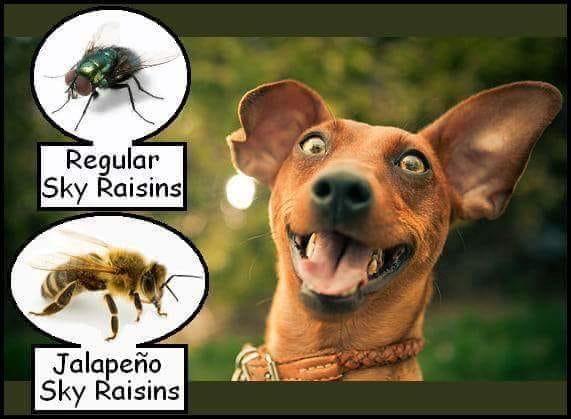 crn4ritkj3b11.jpg